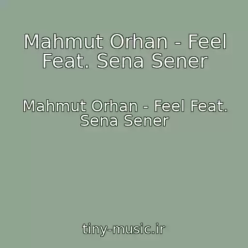 کاور آهنگ Mahmut Orhan - Feel Feat. Sena Sener از Mahmut Orhan - Feel Feat. Sena Sener