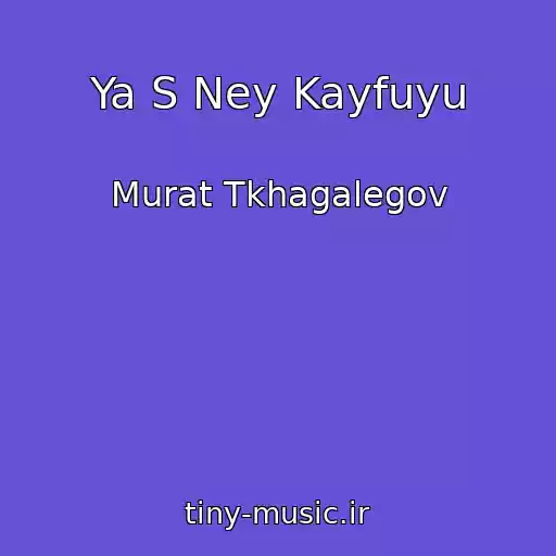 کاور آهنگ Ya S Ney Kayfuyu از Murat Tkhagalegov