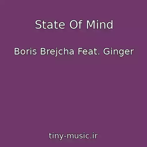 کاور آهنگ State Of Mind از Boris Brejcha Feat. Ginger