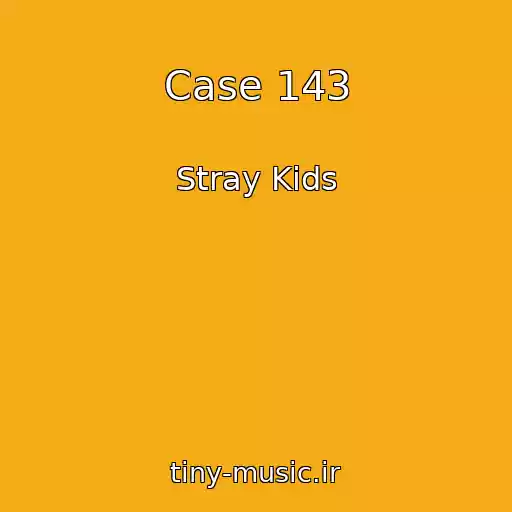 کاور آهنگ Case 143 از Stray Kids