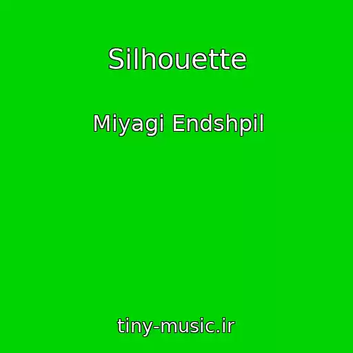 کاور آهنگ Silhouette از Miyagi Endshpil