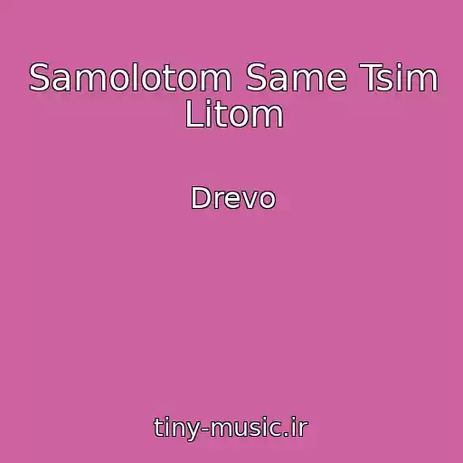 کاور آهنگ Samolotom Same Tsim Lіtom از Drevo