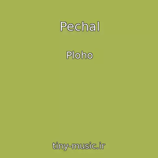 کاور آهنگ Pechal از Ploho