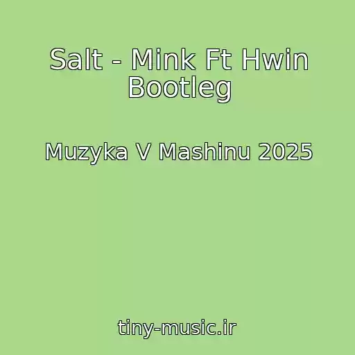 کاور آهنگ Salt - Mink Ft Hwin Bootleg از Muzyka V Mashinu 2025