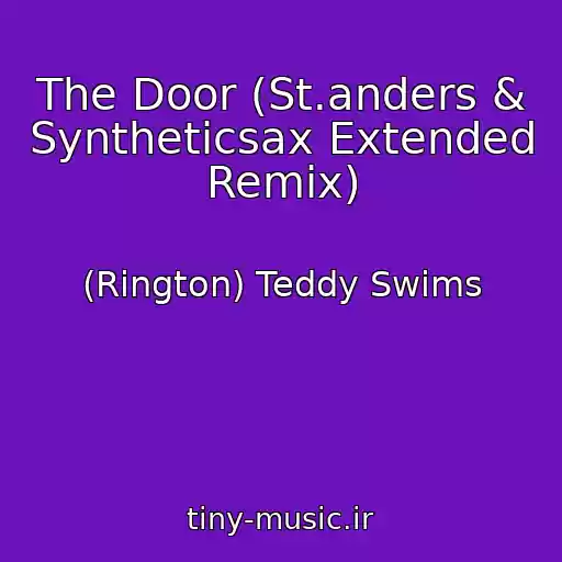 کاور آهنگ The Door (St.anders & Syntheticsax Extended Remix) از (Rington) Teddy Swims