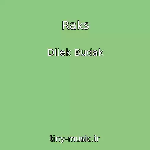 کاور آهنگ Raks از Dilek Budak