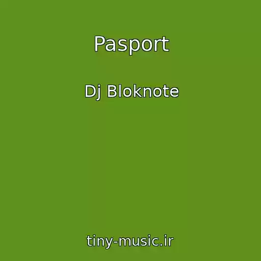 کاور آهنگ Pasport از Dj Bloknote
