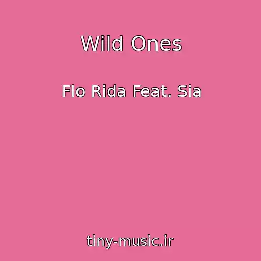 کاور آهنگ Wild Ones از Flo Rida Feat. Sia