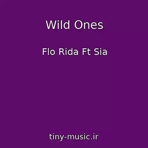 کاور آهنگ Wild Ones از Flo Rida Ft Sia