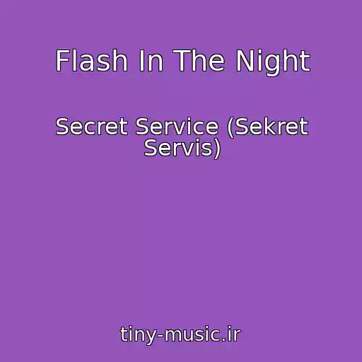 کاور آهنگ Flash In The Night از Secret Service (Sekret Servis)