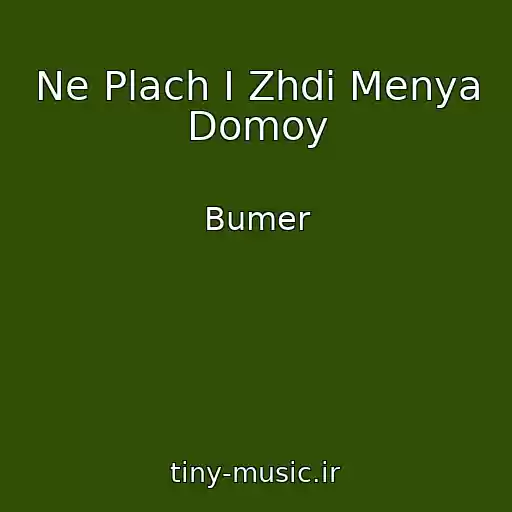 کاور آهنگ Ne Plach I Zhdi Menya Domoy از Bumer