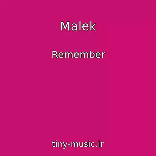 کاور آهنگ Malek از Remember