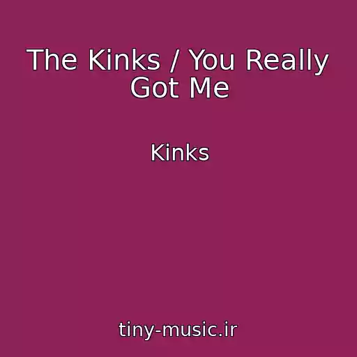 کاور آهنگ The Kinks / You Really Got Me از Kinks