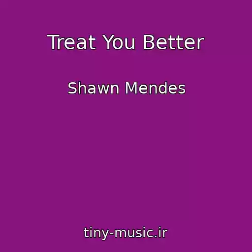 کاور آهنگ Treat You Better از Shawn Mendes