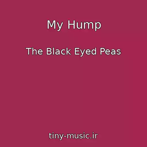 کاور آهنگ My Hump از The Black Eyed Peas