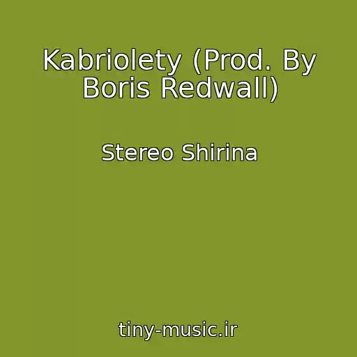 کاور آهنگ Kabriolety (Prod. By Boris Redwall) از Stereo Shirina