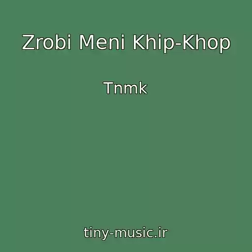 کاور آهنگ Zrobi Menі Khіp-Khop از Tnmk