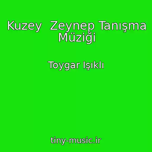 کاور آهنگ Kuzey  Zeynep Tanışma Müziği از Toygar Işıklı
