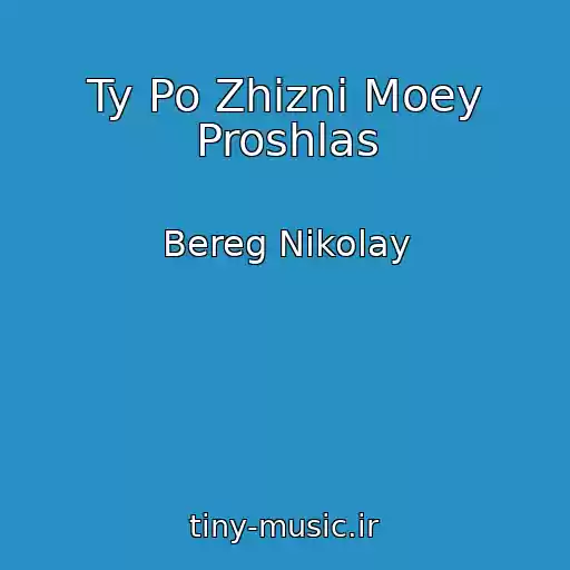 کاور آهنگ Ty Po Zhizni Moey Proshlas از Bereg Nikolay