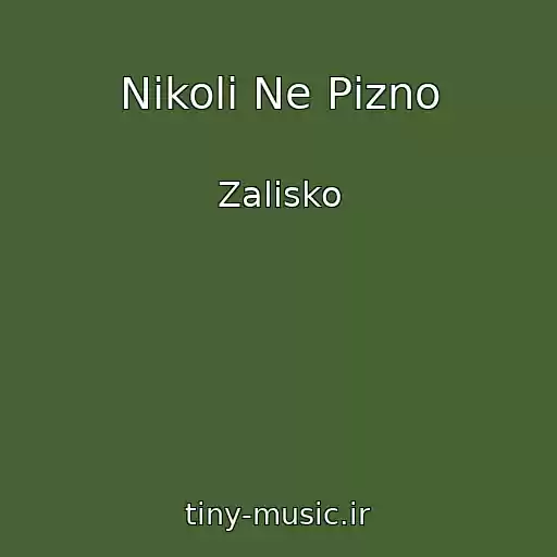 کاور آهنگ Nіkoli Ne Pіzno از Zalіsko