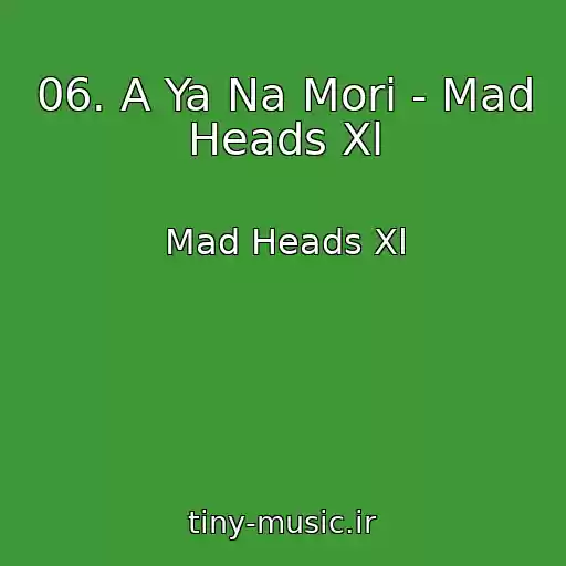 کاور آهنگ 06. A Ya Na Mori - Mad Heads Xl از Mad Heads Xl