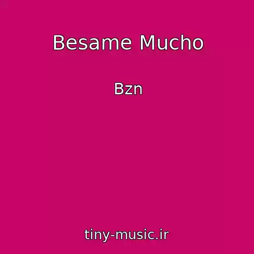 کاور آهنگ Besame Mucho از Bzn