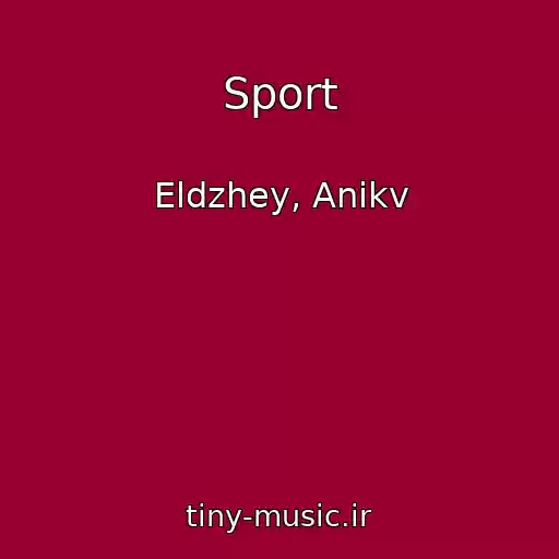 کاور آهنگ Sport از Eldzhey, Anikv
