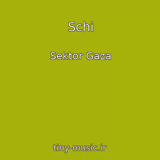کاور آهنگ Schi از Sektor Gaza