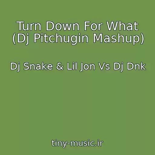 کاور آهنگ Turn Down For What (Dj Pitchugin Mashup) از Dj Snake & Lil Jon Vs Dj Dnk