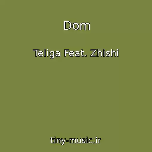 کاور آهنگ Dom از Teliga Feat. Zhishi