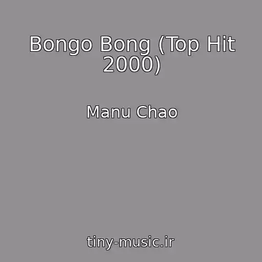 کاور آهنگ Bongo Bong (Top Hit 2000) از Manu Chao