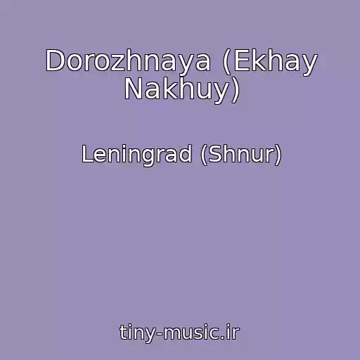 کاور آهنگ Dorozhnaya (Ekhay Nakhuy) از Leningrad (Shnur)