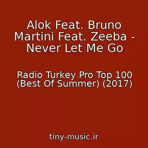 کاور آهنگ Alok Feat. Bruno Martini Feat. Zeeba - Never Let Me Go از Radio Turkey Pro Top 100 (Best Of Summer) (2017)