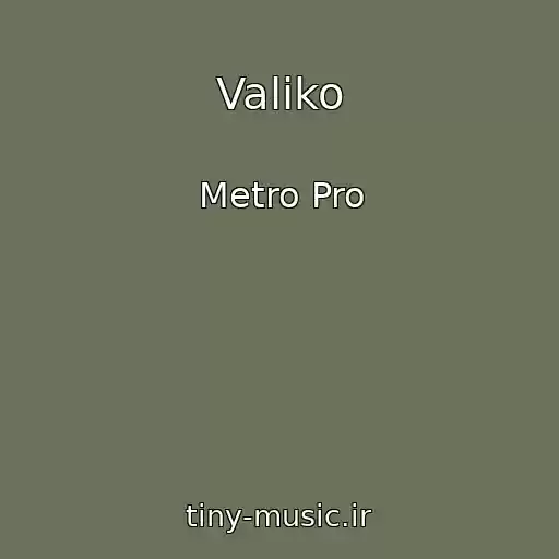 کاور آهنگ Valiko از Metro Pro