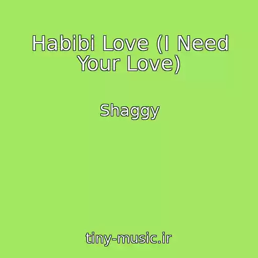 کاور آهنگ Habibi Love (I Need Your Love) از Shaggy