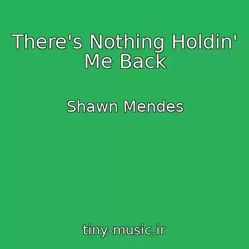 کاور آهنگ There's Nothing Holdin' Me Back از Shawn Mendes