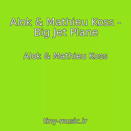 کاور آهنگ Alok & Mathieu Koss - Big Jet Plane از Alok & Mathieu Koss