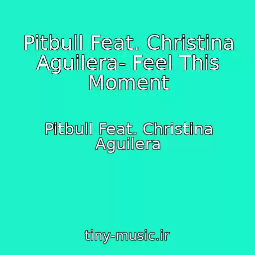 کاور آهنگ Pitbull Feat. Christina Aguilera- Feel This Moment از Pitbull Feat. Christina Aguilera