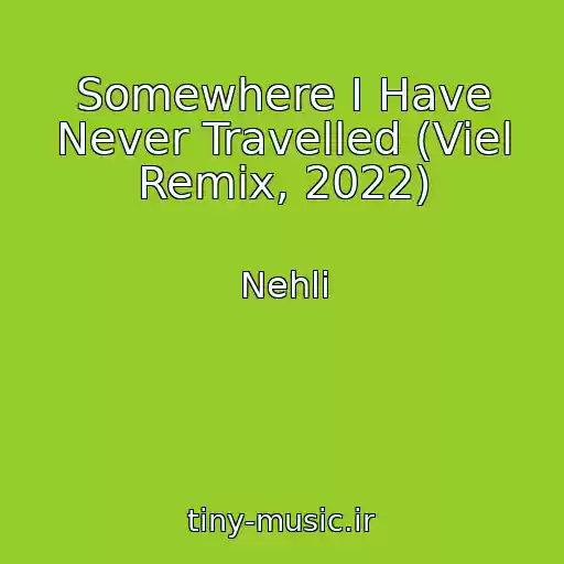 کاور آهنگ Somewhere I Have Never Travelled (Viel Remix, 2022) از Nehli