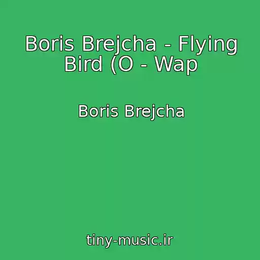 کاور آهنگ Boris Brejcha - Flying Bird (O - Wap از Boris Brejcha