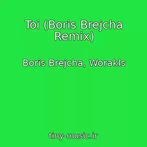 کاور آهنگ Toi (Boris Brejcha Remix) از Boris Brejcha, Worakls