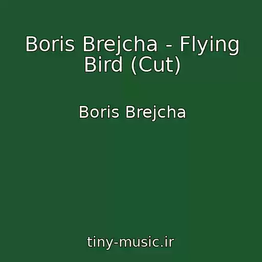 کاور آهنگ Boris Brejcha - Flying Bird (Cut) از Boris Brejcha