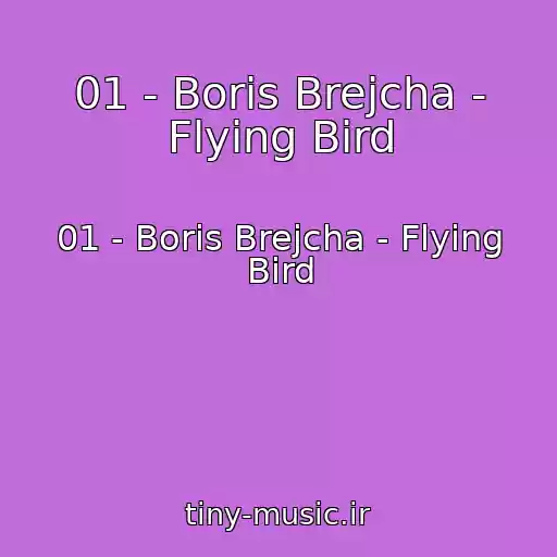کاور آهنگ 01 - Boris Brejcha - Flying Bird از 01 - Boris Brejcha - Flying Bird