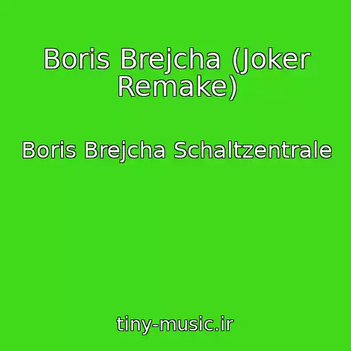 کاور آهنگ Boris Brejcha (Joker Remake) از Boris Brejcha Schaltzentrale