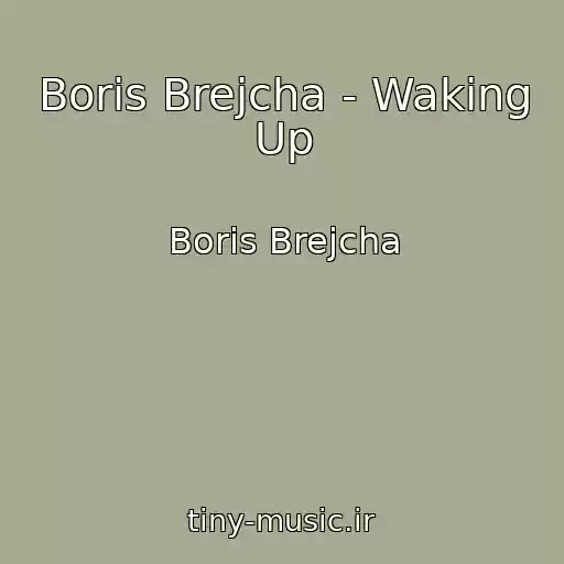 کاور آهنگ Boris Brejcha - Waking Up از Boris Brejcha