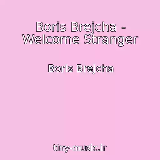 کاور آهنگ Boris Brejcha - Welcome Stranger از Boris Brejcha
