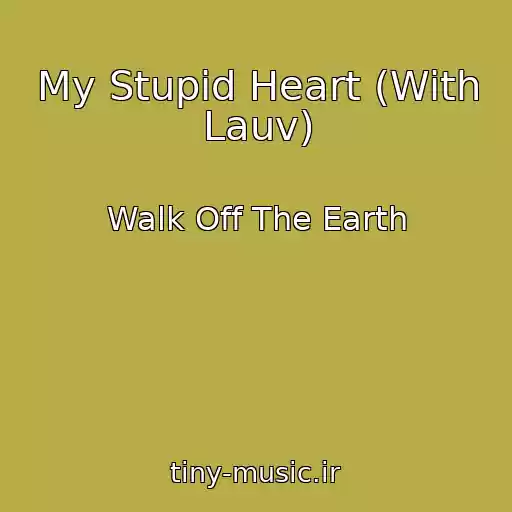 کاور آهنگ My Stupid Heart (With Lauv) از Walk Off The Earth