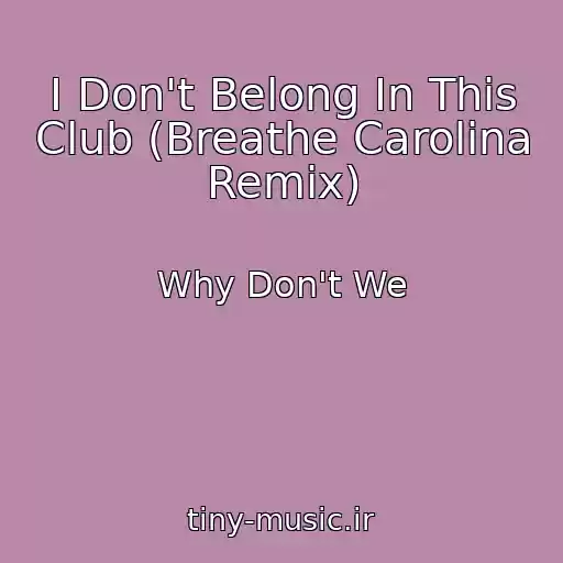 کاور آهنگ I Don't Belong In This Club (Breathe Carolina Remix) از Why Don't We