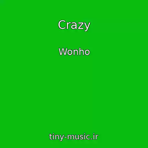 کاور آهنگ Crazy از Wonho