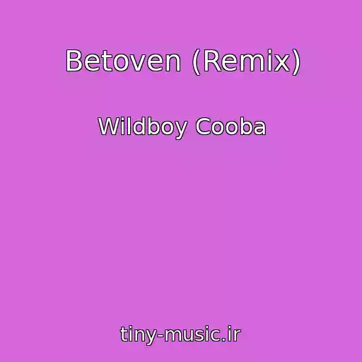 کاور آهنگ Betoven (Remix) از Wildboy Cooba